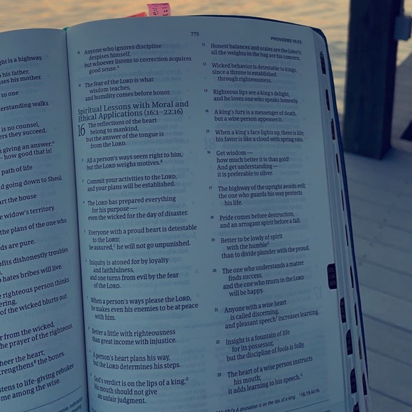 Meet your Posher, Ella - Picture 1 of 1